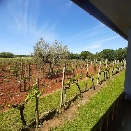 Apartament And Hacienda Stelio