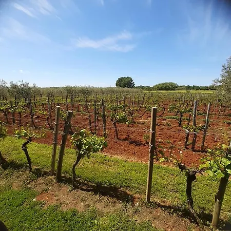 And Hacienda Stelio * بوريتش