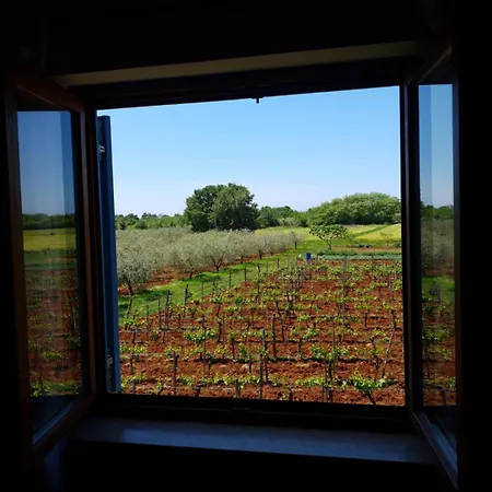 And Hacienda Stelio Apartment Porec