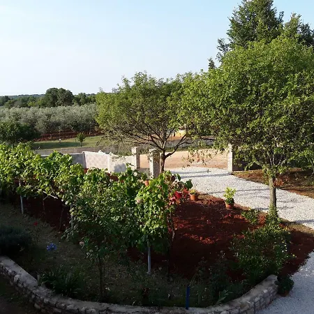 And Hacienda Stelio